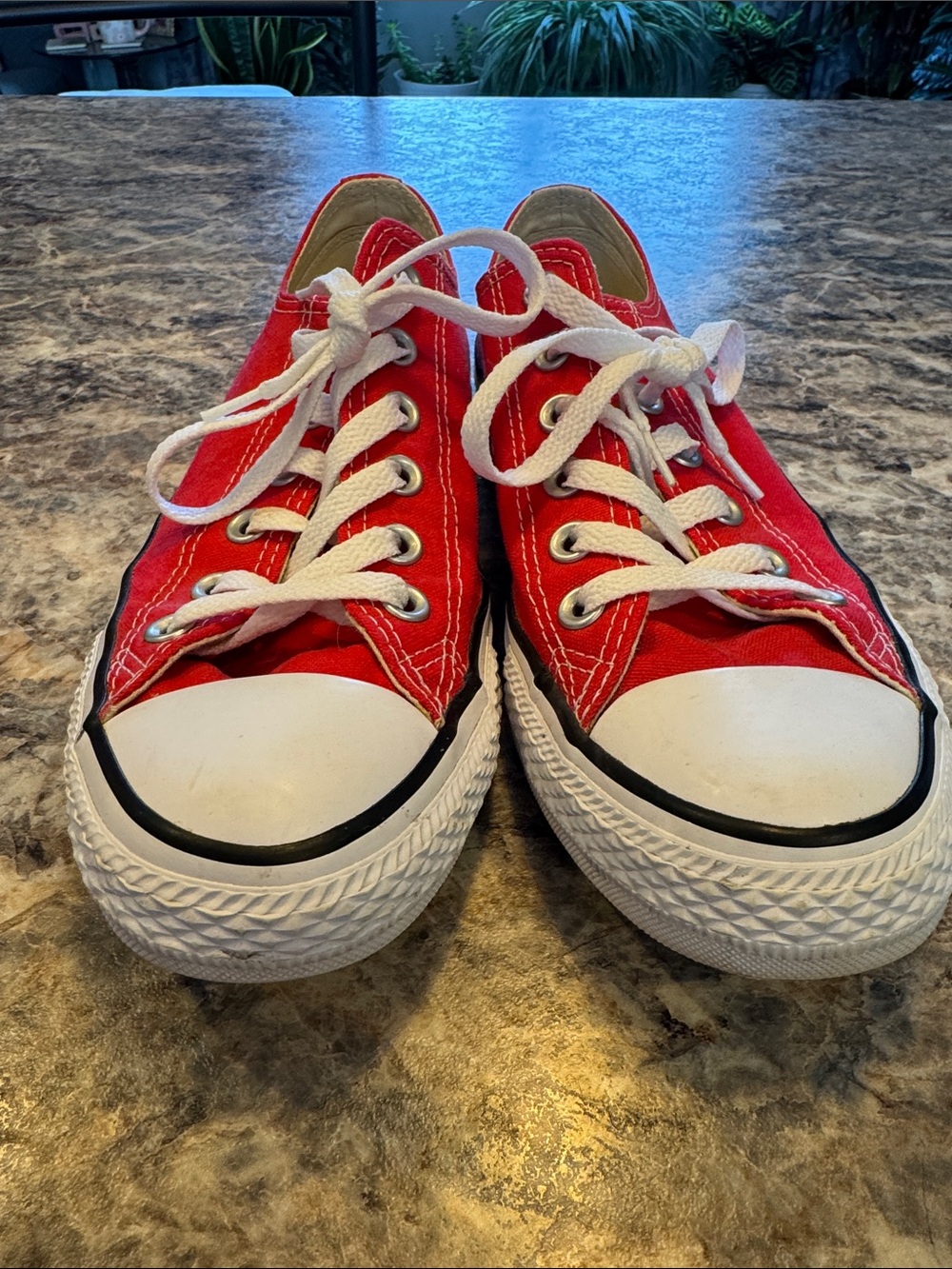 Converse Red Low-Top Canvas Sneakers with White Laces - Picture 7 of 7
